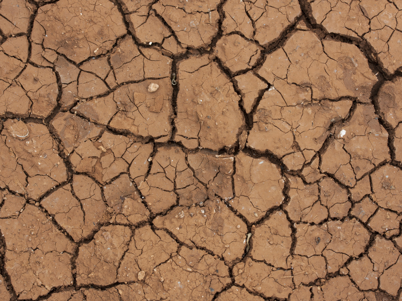 Siccità, in Italia è emergenza: dal 2020 ad oggi (metà maggio) 81 danni da siccità prolungata 2 Foto siccita