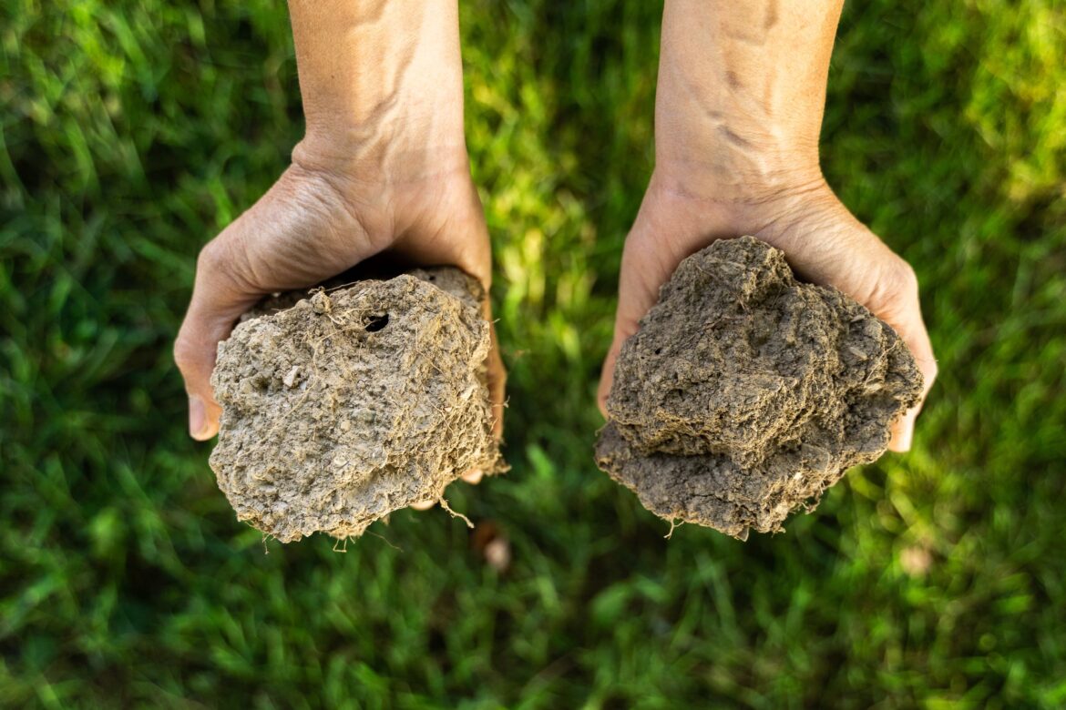 Conventional vs organic soil credit Rodale Institute