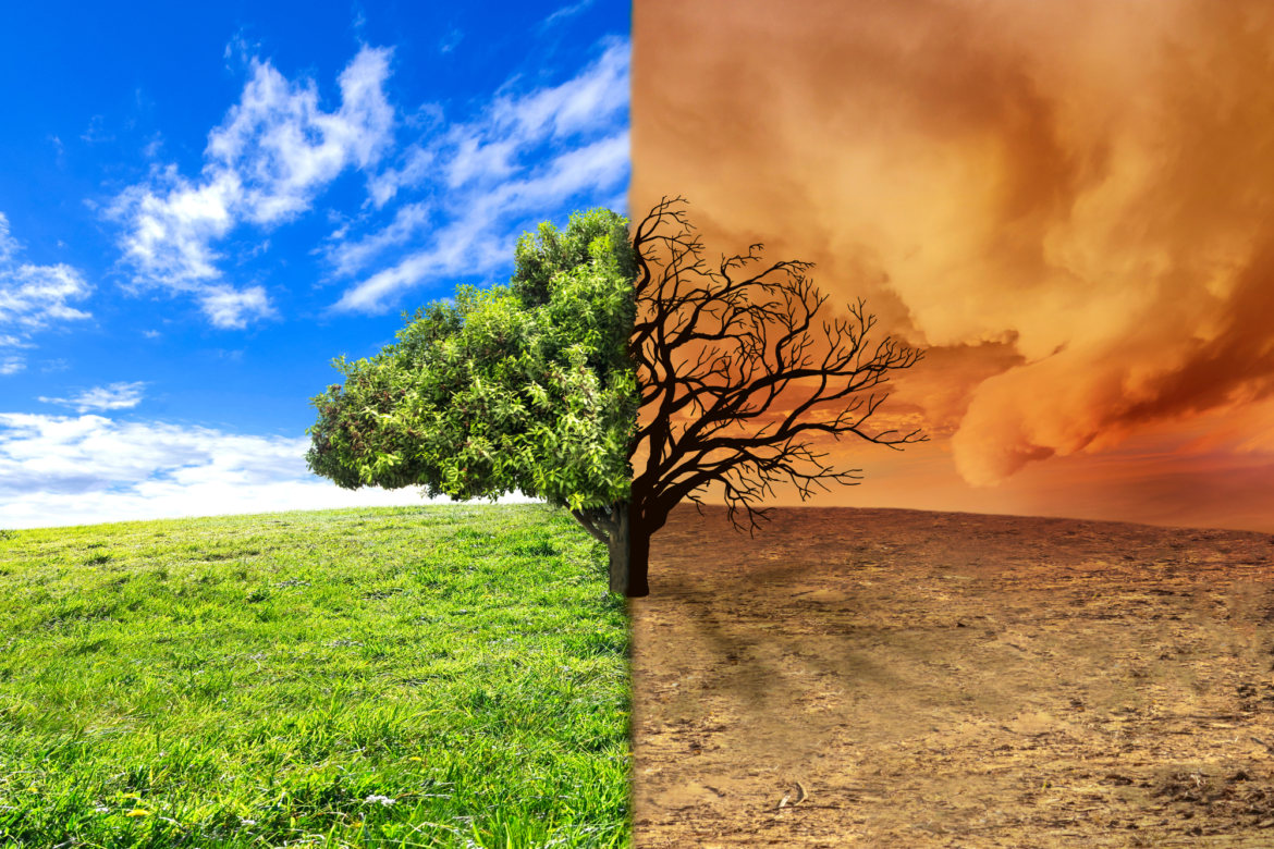 CRISI CLIMATICA: WWF SI RIVOLGE ALLE ISTITUZIONI 3 CRISI CLIMATICA