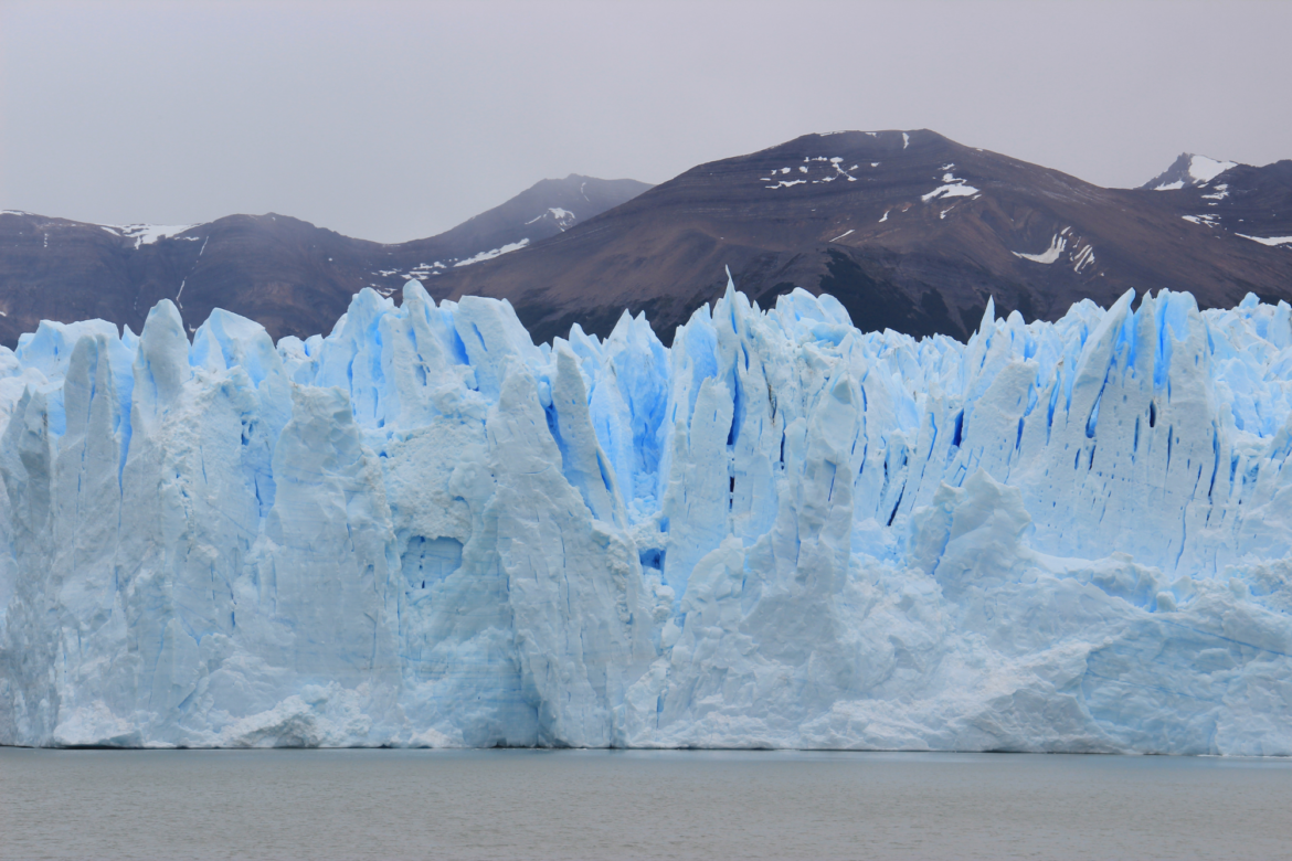 CRISI CLIMATICA: WWF SI RIVOLGE ALLE ISTITUZIONI 4 crisi climatica 2
