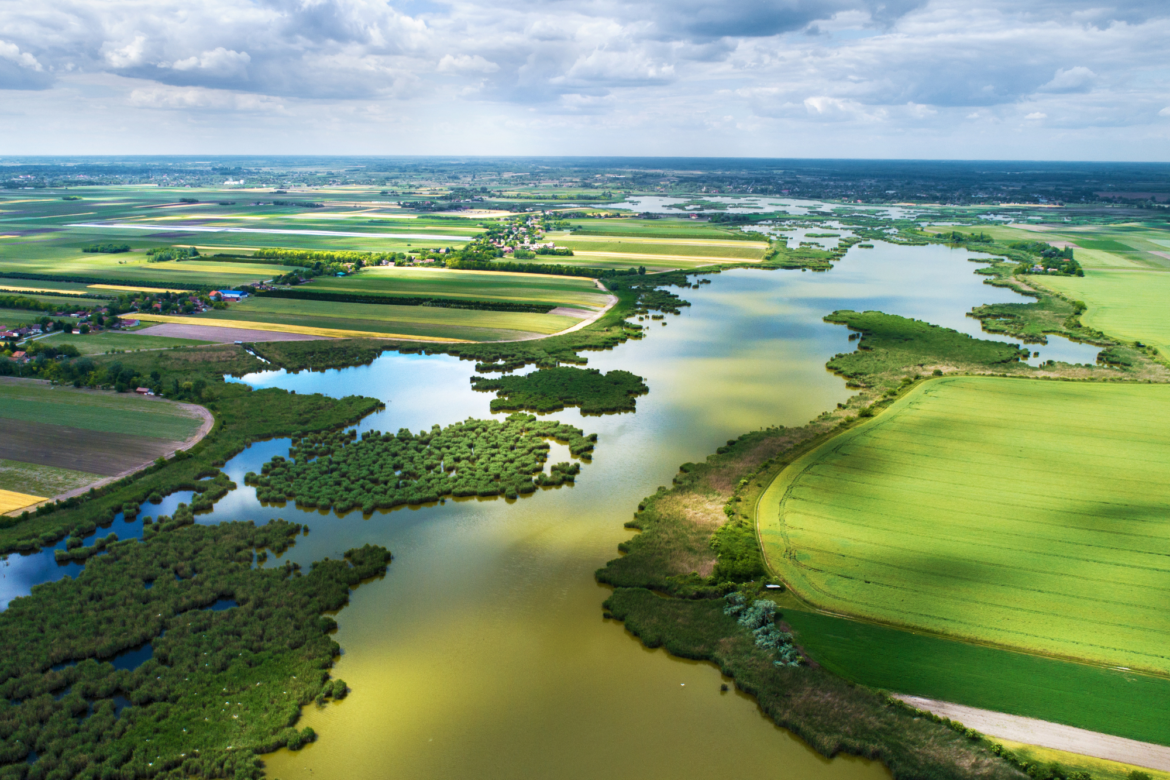 BIODIVERSITA': SERVONO FINANZIAMENTI SICURI 2 biodiversità