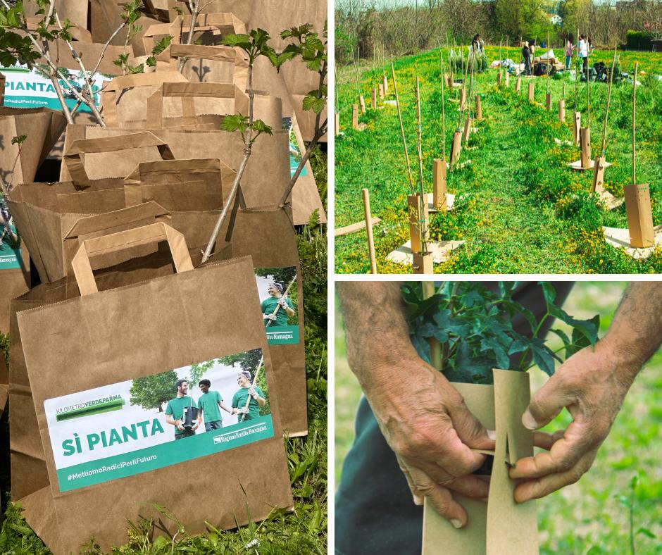 KilometroVerdeParma pianta il futuro: alberi, innovazione e benefici per la comunità 2 KilometroVerdeParma
