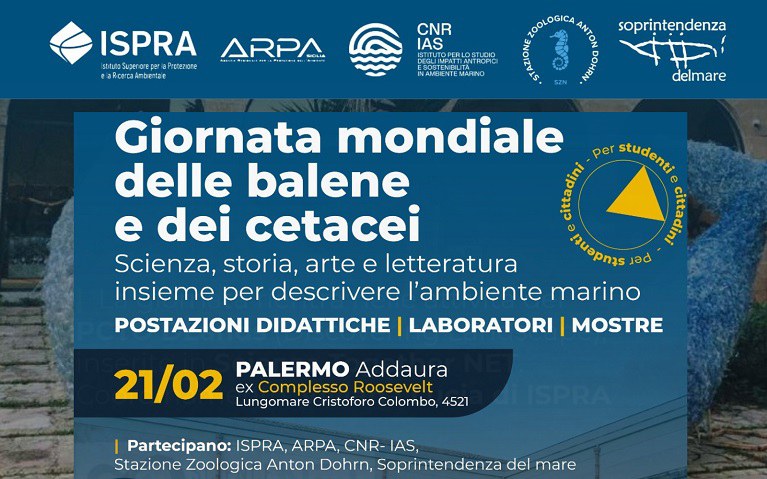 Giornata Mondiale delle balene e dei cetacei: ISPRA e ARPA Sicilia celebrano il mare con gli studenti 2 Giornata