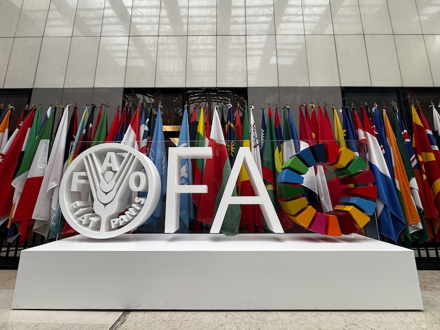 COP16.2 Roma, Rete Clima: risultati importanti, serve azione 2 COP16