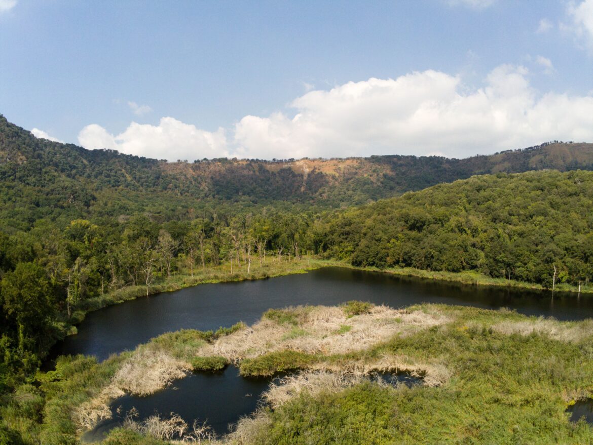 Oasi WWF, quando natura e agricoltura vanno a braccetto 2 Oasi WWF