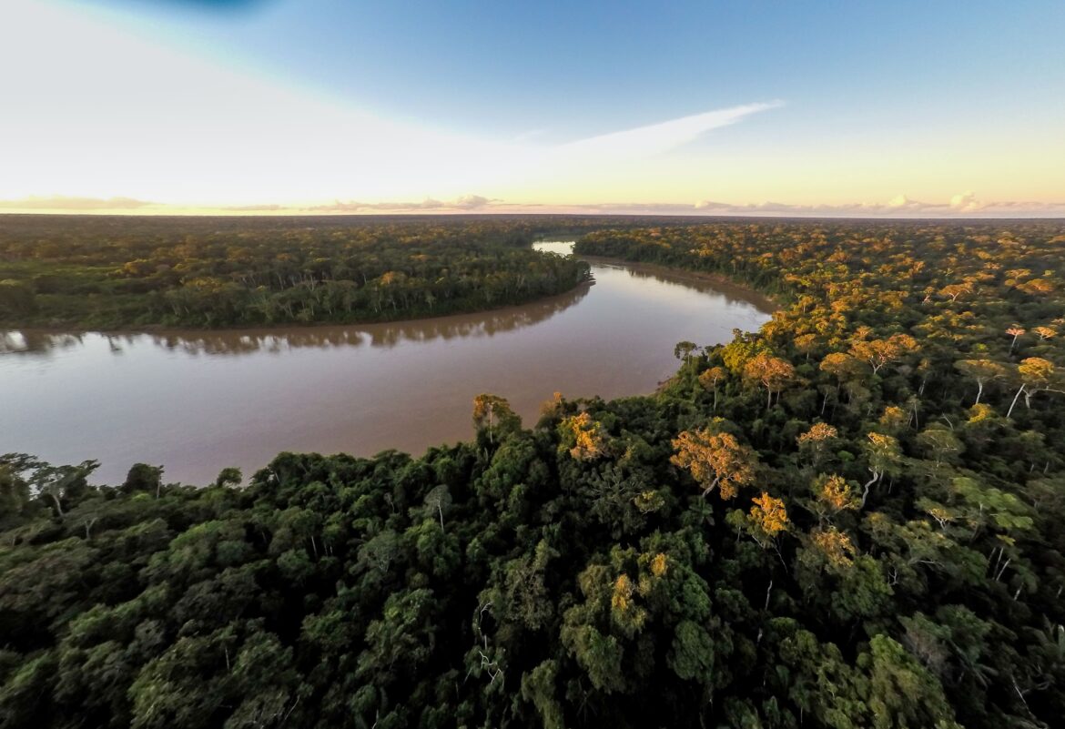 SOS Amazzonia, mancano solo 15 anni alla perdita irreversibile 2 SOS Amazzonia
