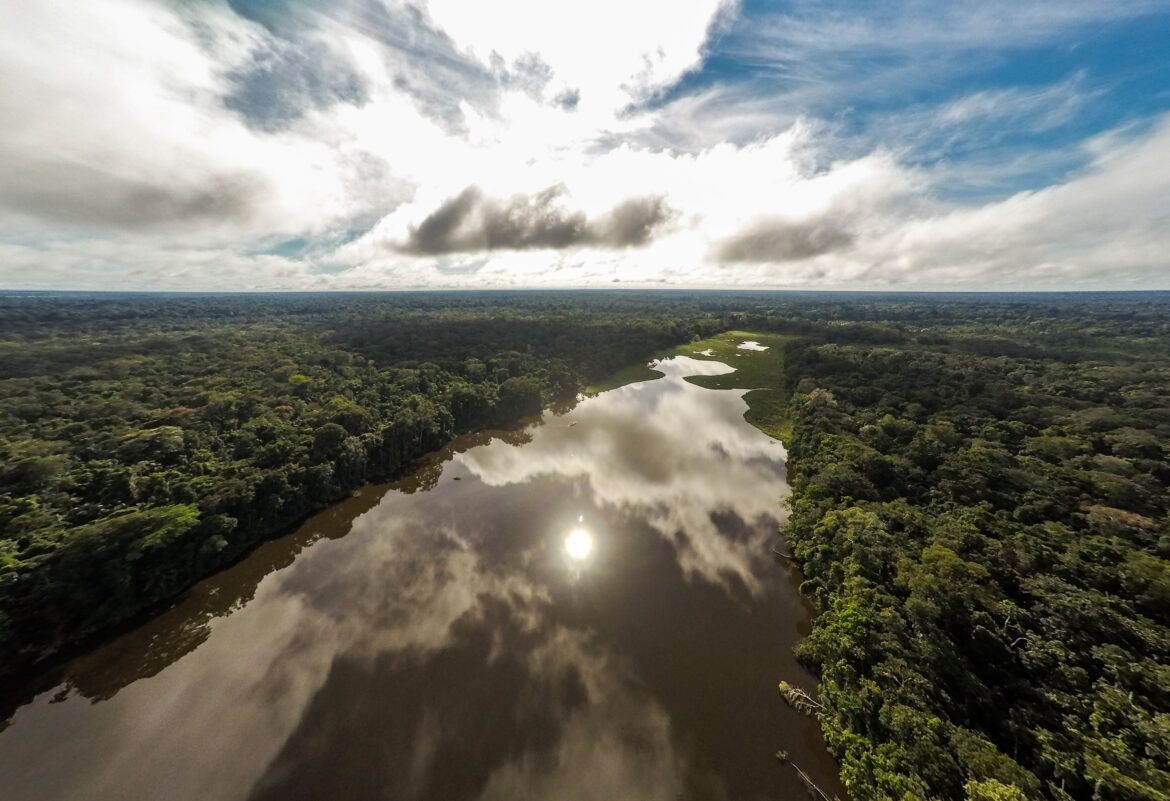 Amazzonia, dal 2001 ad oggi persi oltre 40 milioni di ettari 2 Amazzonia