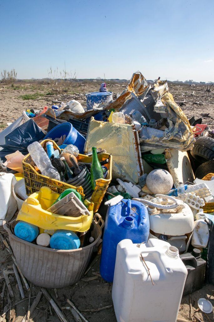 GenerAzione Mare: al via in tutta Italia le attività del WWF 2 GenerAzione Mare
