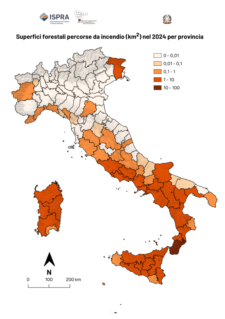 Incendi 2024: bruciati 514 km², in calo rispetto al 2023 2 Incendi