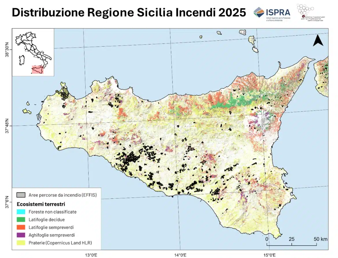 Incendi boschivi: nel 2025 aumenta la superficie andata in fumo 4 distribuzione Sicilia 1