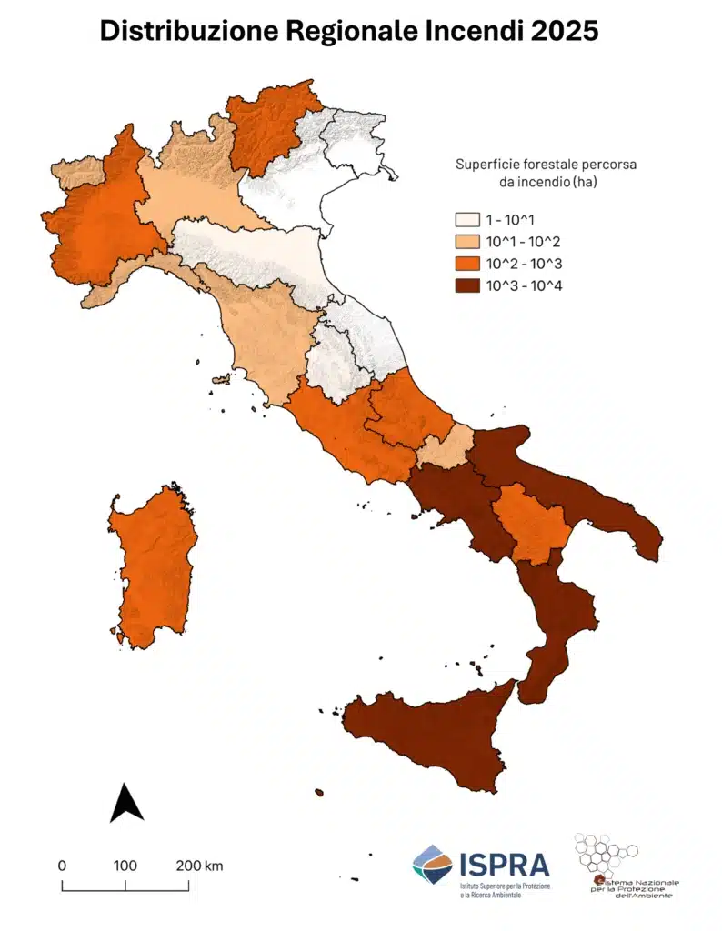 Incendi boschivi: nel 2025 aumenta la superficie andata in fumo 3 distribuzione regionale incendi 1