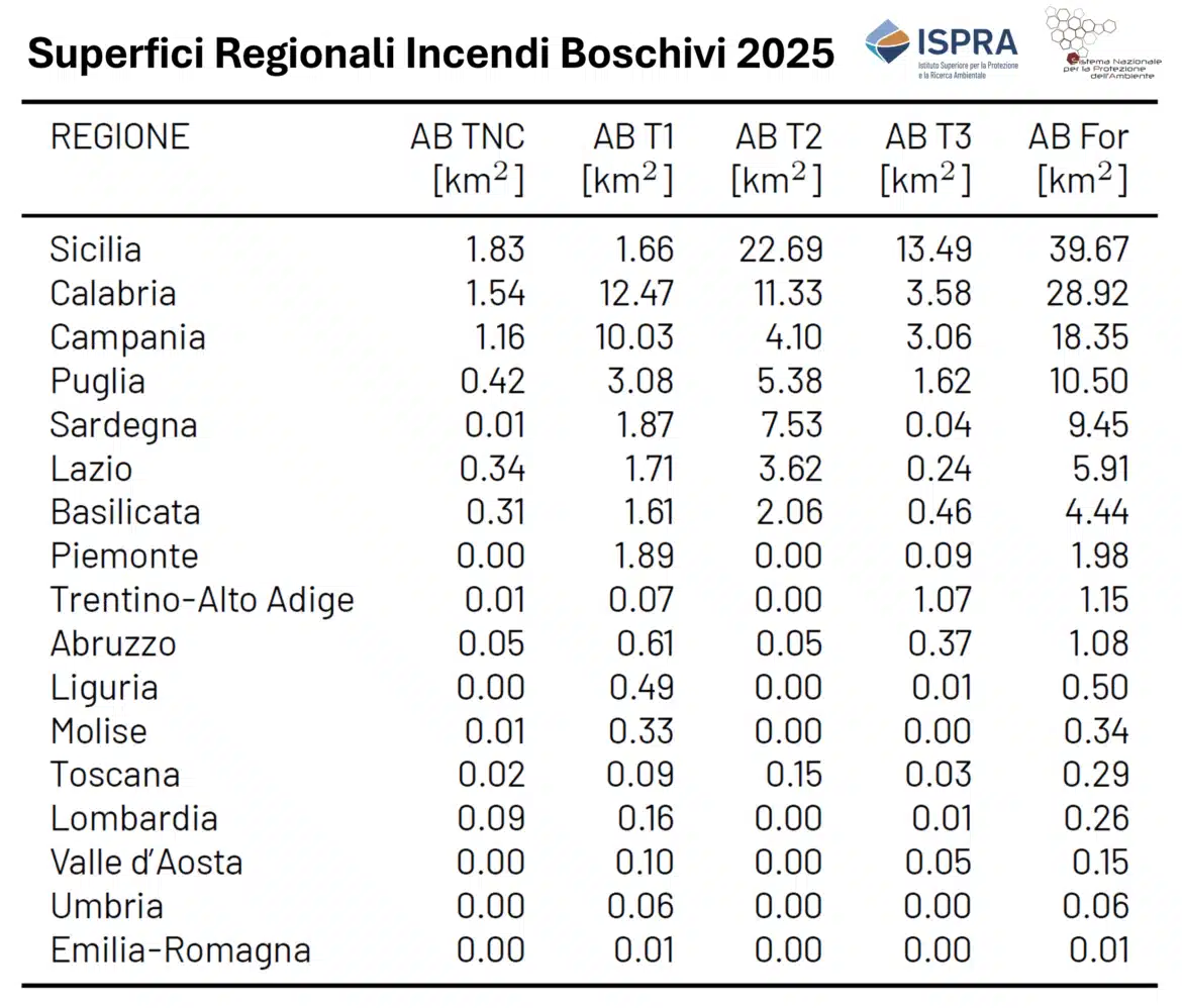 Incendi boschivi: nel 2025 aumenta la superficie andata in fumo 2 superfici regionali incendi 1